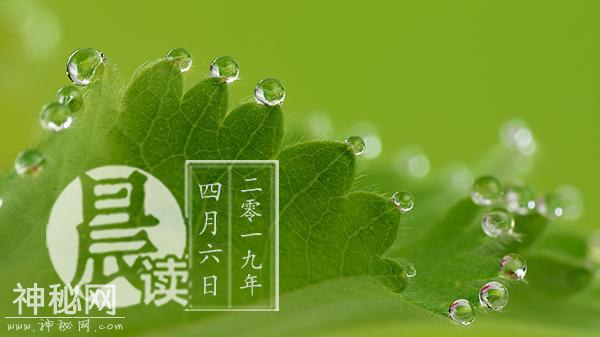 晨读 | 长生生物18个疫苗批号被注销 | C罗女友：我们一见钟情-1.jpg