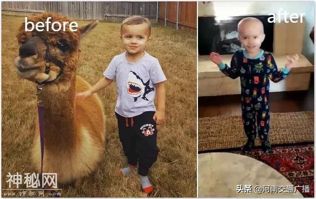 妈妈做完家务后，发现三个孩子全秃了……心痛到无法呼吸！-9.jpg