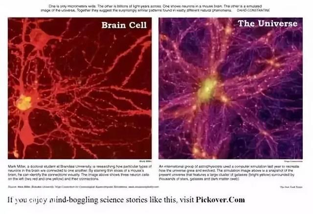 宇宙其实是一个巨大意识生命体？-2.jpg