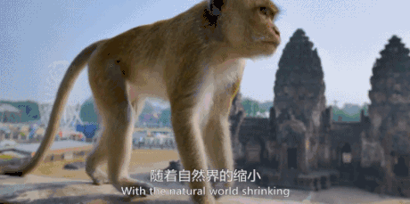 BBC这部纪录片会告诉你，地球的主人到底是人类还是动物-2.jpg