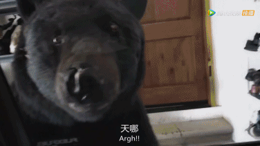 BBC这部纪录片会告诉你，地球的主人到底是人类还是动物-11.jpg