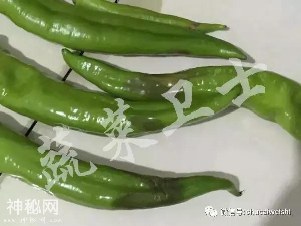 瓜类新病毒爆发，如何有效防治？-6.jpg
