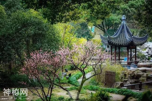 风俗｜上巳节——历史走失的节日-2.jpg