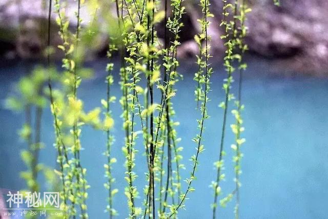 风俗｜上巳节——历史走失的节日-4.jpg