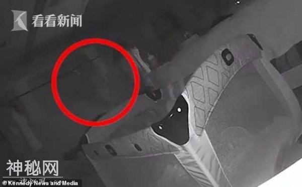 女婴脸上三道抓痕 监控拍下灵异一幕 父母急搬家-1.jpg