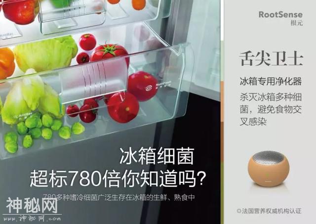 你的冰箱，细菌正在悄悄生长。-6.jpg