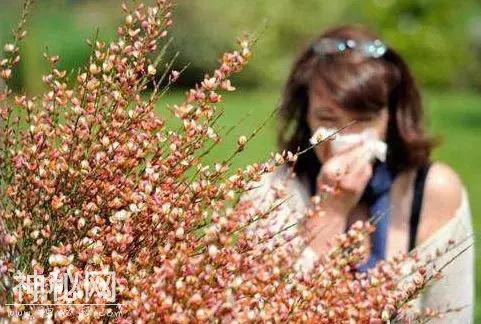 清明时节 | 养生=养健康，此时应该注意哪些？-6.jpg