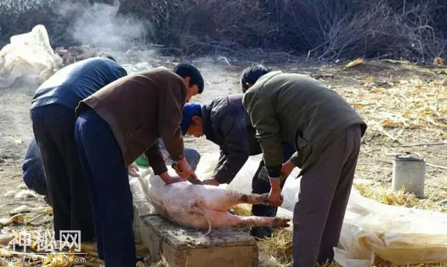 特色民俗风情游｜齐齐哈尔陪你欢喜过大年-3.jpg