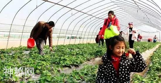 特色民俗风情游｜齐齐哈尔陪你欢喜过大年-10.jpg