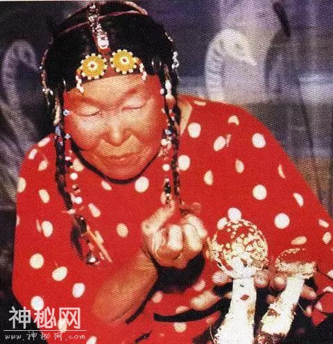 动物吸毒姿势有多野？偷袭罂粟田、抽烟、酗酒它们是样样齐全-12.jpg
