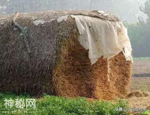 记得两个朋友给我讲述的故事，你被人控制过吗？-1.jpg