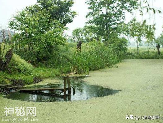 两个北方来的朋友说的故事，冥冥之中有什么事？-1.jpg