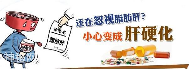 脂肪肝、病毒、饮酒、不当用药是导致肝脏受损的主要原因-3.jpg