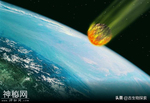 古生物学家发现白垩纪大灭绝的第一批遇难者-2.jpg