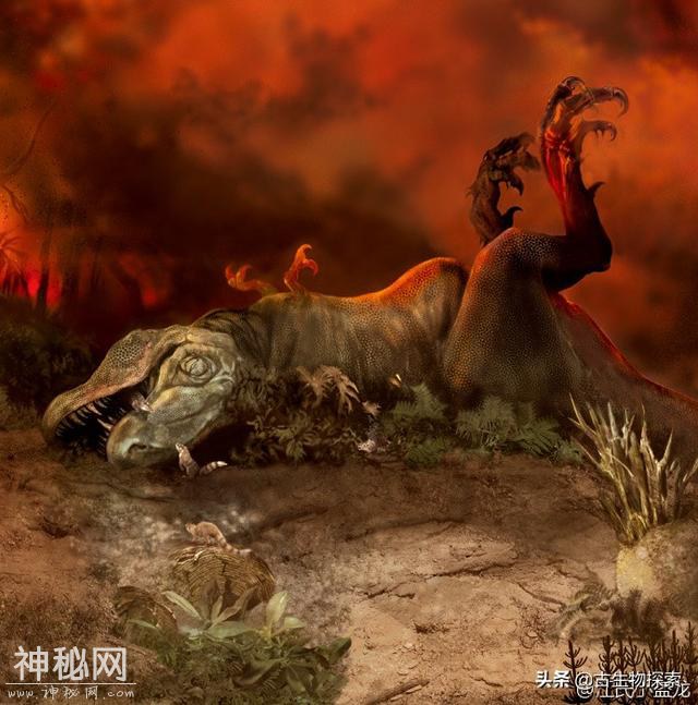 古生物学家发现白垩纪大灭绝的第一批遇难者-1.jpg
