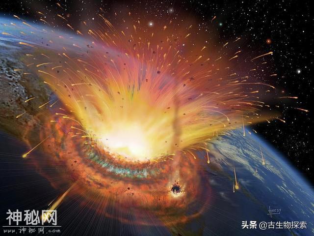 古生物学家发现白垩纪大灭绝的第一批遇难者-11.jpg