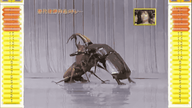全世界最认真的搞笑节目，已经40年了！-39.jpg