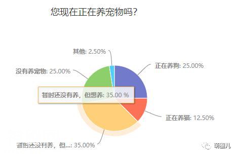 济南伴侣动物领养日活动成功举办，狗狗们找到新家啦-4.jpg
