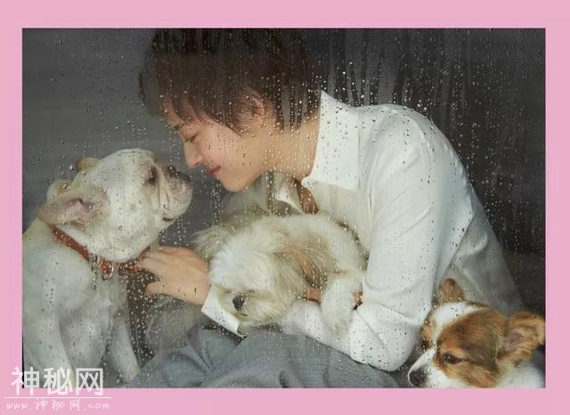 济南伴侣动物领养日活动成功举办，狗狗们找到新家啦-3.jpg