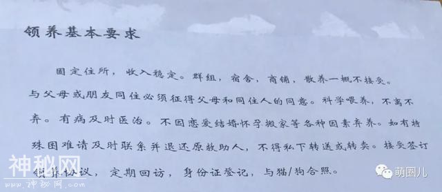 济南伴侣动物领养日活动成功举办，狗狗们找到新家啦-5.jpg