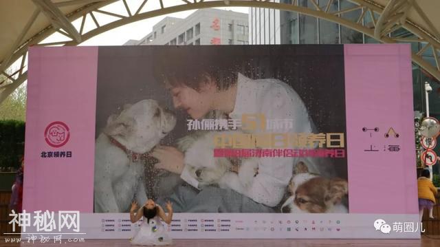 济南伴侣动物领养日活动成功举办，狗狗们找到新家啦-14.jpg