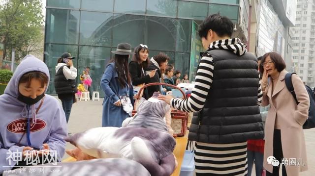 济南伴侣动物领养日活动成功举办，狗狗们找到新家啦-16.jpg