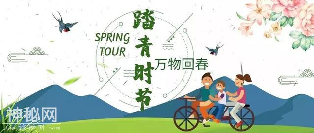 万物回春去踏青，却怕细菌滋生？其实你身边就潜藏着细菌危害！看看他们是怎么解决的！-3.jpg