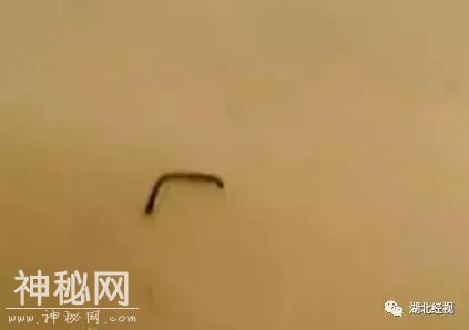 女子在酒店住一晚，第二天买了阻断艾滋病毒的药物！发生了什么？-4.jpg