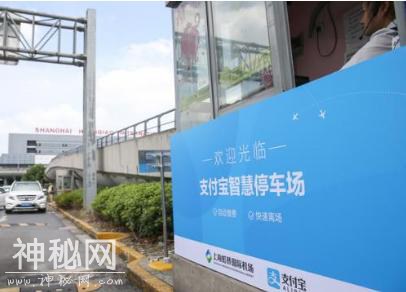 支付宝的实用功能，有车一族的福利，省时省力，了解一下？-3.jpg