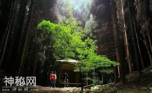 春节去哪儿玩不用愁！来北川过大年、赏民俗、跳沙朗……-32.jpg