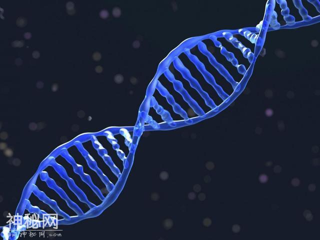 科学就是科学？人文就是人文？-1.jpg