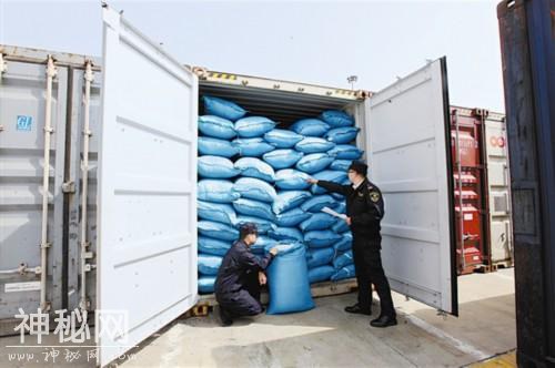 大连海关查获禁止进口固体废物93吨非法入境生物制品400支-1.jpg