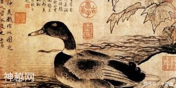 在一种动物的排泄物里, 唐朝人却找到了黄金, 这种动物今天满地跑-5.jpg