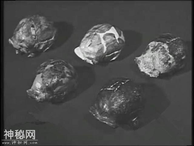 这个头骨化石的发现，把人类的历史整整提前了50万年！-5.jpg