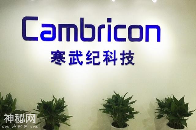 估值160亿元的寒武纪科技，巨头步步紧逼下，能否杀出一条血路？-1.jpg