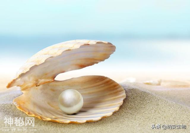 介绍几种抗衰老的天然生物提取物-5.jpg