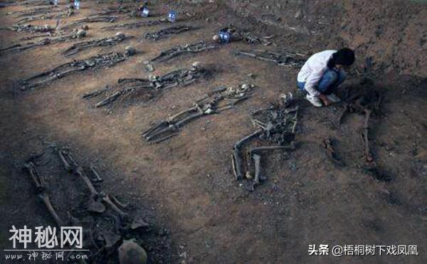 文物部门恢复被盗墓地时，竟使用盗墓手段，用炸药炸毁盗洞-11.jpg
