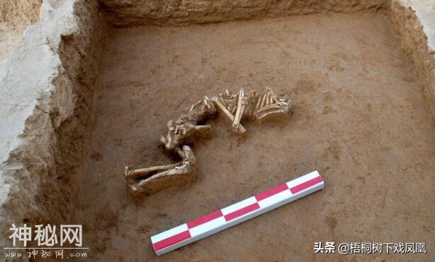 文物部门恢复被盗墓地时，竟使用盗墓手段，用炸药炸毁盗洞-13.jpg