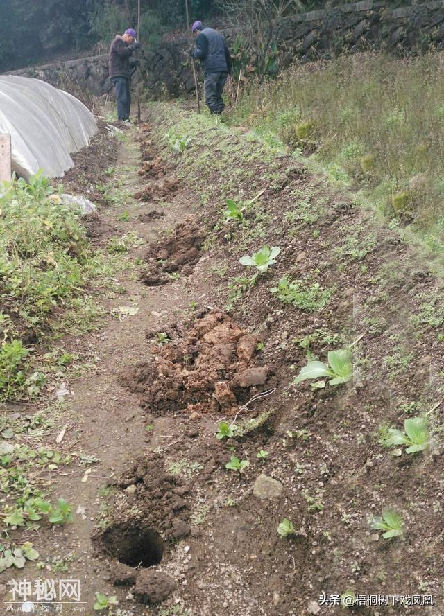 甘肃考古发现早期处死殉人的残暴方式，用重器直接往头上砸-6.jpg