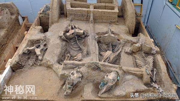 甘肃考古发现早期处死殉人的残暴方式，用重器直接往头上砸-9.jpg