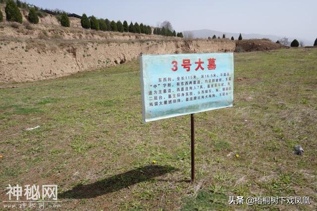 甘肃考古发现早期处死殉人的残暴方式，用重器直接往头上砸-14.jpg
