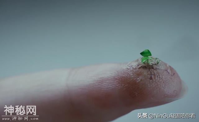 超甜美学妹被病毒感染后身体竟发生了这样的变化！-18.jpg