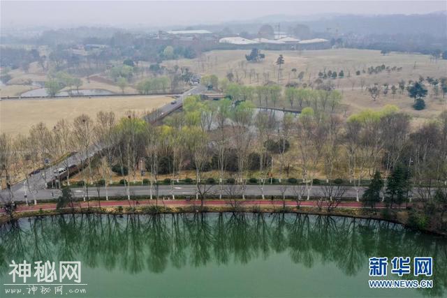 串联城市自然山水人文 共享生态文明建设成果——我国绿道建设发展综述-3.jpg