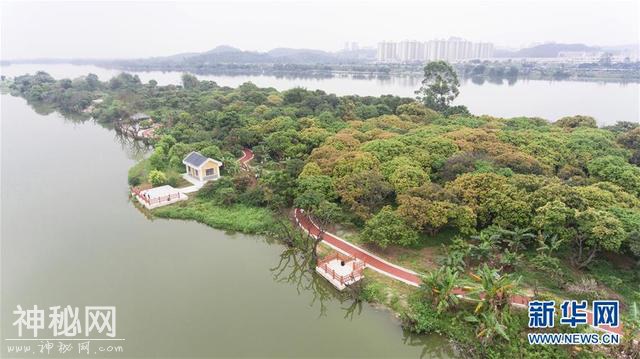 串联城市自然山水人文 共享生态文明建设成果——我国绿道建设发展综述-2.jpg