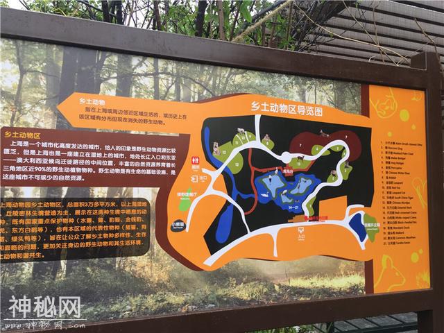 原来，华南虎和丹顶鹤也是上海“土著”？快去今天开放的上海动物园乡土动物区探个究竟-2.jpg