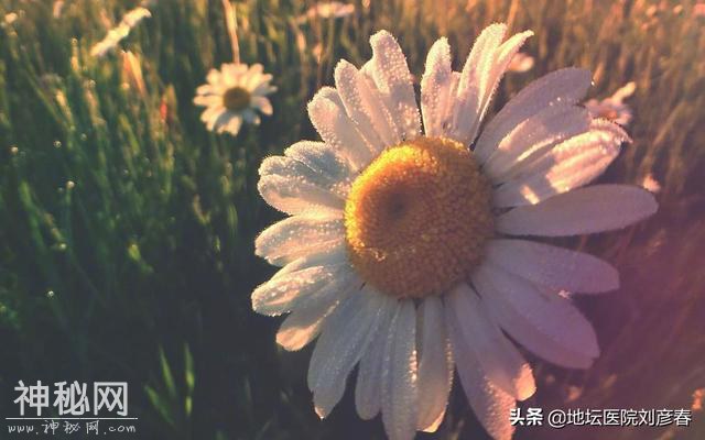 哺乳期妈妈三个月勇敢击退HPV病毒-4.jpg
