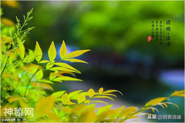 道教文化：清明节的由来与道教祭祀·你知道吗？-1.jpg