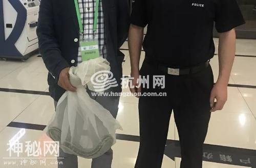 前脚送走猎隼 后脚迎来广花蛇 动物们缘何痴迷杭州-1.jpg
