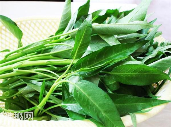 春雨将至，多食此“祛湿菜”，排出子宫细菌，防子宫肌瘤，祛湿毒-1.jpg