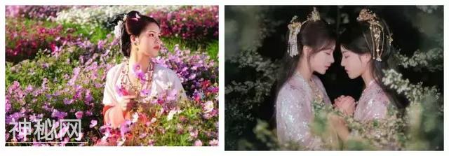 玉兴镇凡龙花千谷第二届民俗赏花节开幕式提前啦！！4月9日我们不见不散！-10.jpg
